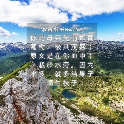 Picture 04 - 以 西 结 书 19:10 CUVS - 你 的 母 亲 先 前 如 葡 萄 树 ， 极 - Bible Verse Picture
