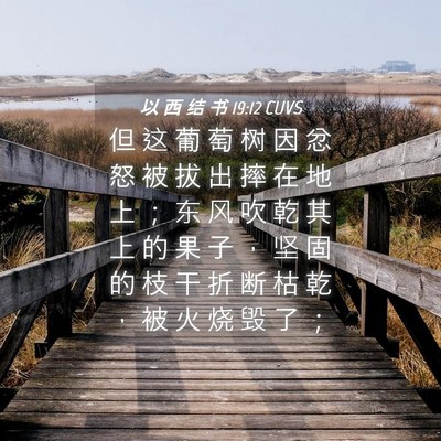 Picture 04 - 以 西 结 书 19:12 CUVS - 但 这 葡 萄 树 因 忿 怒 被 拔 出 摔 - Bible Verse Picture