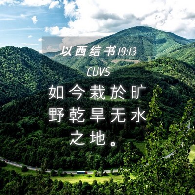 Picture 04 - 以 西 结 书 19:13 CUVS - 如 今 栽 於 旷 野 乾 旱 无 水 之 地 - Bible Verse Picture