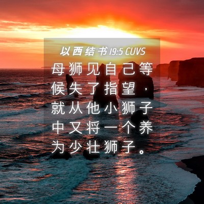 Picture 04 - 以 西 结 书 19:5 CUVS - 母 狮 见 自 己 等 候 失 了 指 望 ， - Bible Verse Picture