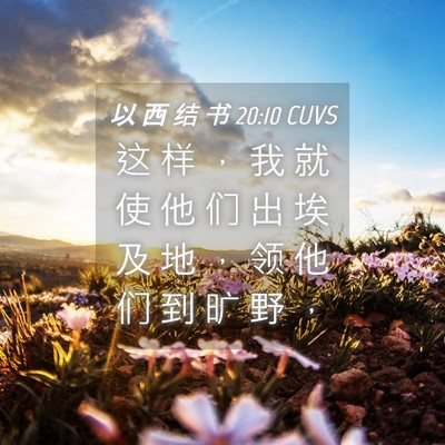 Picture 04 - 以 西 结 书 20:10 CUVS - 这 样 ， 我 就 使 他 们 出 埃 及 地 - Bible Verse Picture