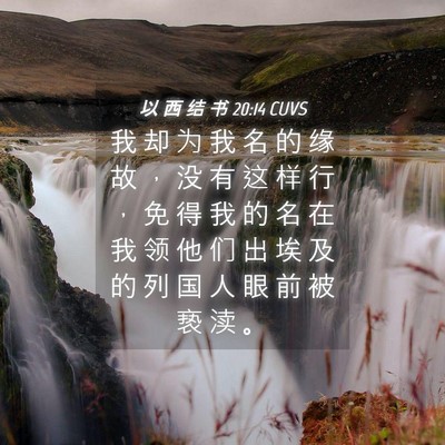 Picture 04 - 以 西 结 书 20:14 CUVS - 我 却 为 我 名 的 缘 故 ， 没 有 这 - Bible Verse Picture