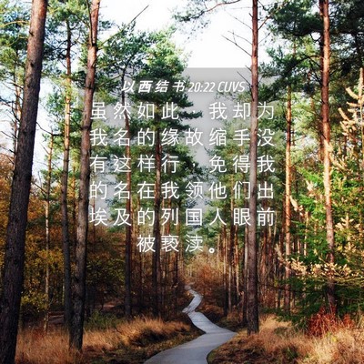 Picture 04 - 以 西 结 书 20:22 CUVS - 虽 然 如 此 ， 我 却 为 我 名 的 缘 - Bible Verse Picture