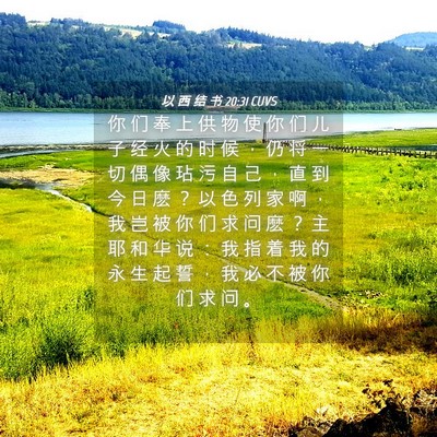Picture 04 - 以 西 结 书 20:31 CUVS - 你 们 奉 上 供 物 使 你 们 儿 子 经 - Bible Verse Picture