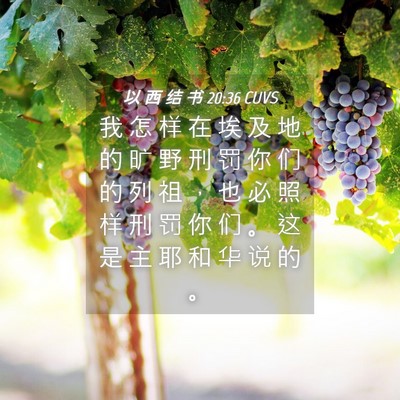 Picture 04 - 以 西 结 书 20:36 CUVS - 我 怎 样 在 埃 及 地 的 旷 野 刑 罚 - Bible Verse Picture