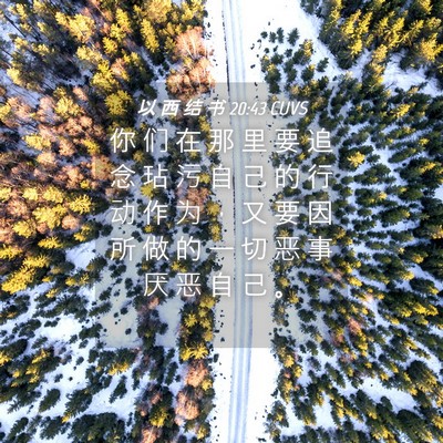Picture 04 - 以 西 结 书 20:43 CUVS - 你 们 在 那 里 要 追 念 玷 污 自 己 - Bible Verse Picture
