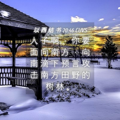 Picture 04 - 以 西 结 书 20:46 CUVS - 人 子 啊 ， 你 要 面 向 南 方 ， 向 - Bible Verse Picture
