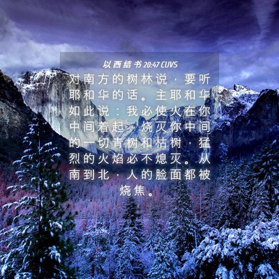 Picture 04 - 以 西 结 书 20:47 CUVS - 对 南 方 的 树 林 说 ， 要 听 耶 和 - Bible Verse Picture