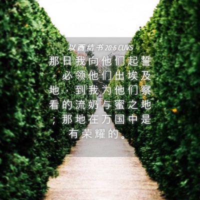 Picture 04 - 以 西 结 书 20:6 CUVS - 那 日 我 向 他 们 起 誓 ， 必 领 他 - Bible Verse Picture