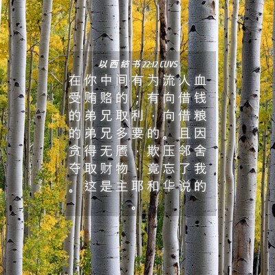 Picture 04 - 以 西 结 书 22:12 CUVS - 在 你 中 间 有 为 流 人 血 受 贿 赂 - Bible Verse Picture