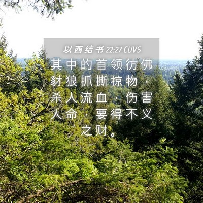 Picture 04 - 以 西 结 书 22:27 CUVS - 其 中 的 首 领 彷 佛 豺 狼 抓 撕 掠 - Bible Verse Picture