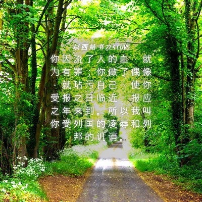 Picture 04 - 以 西 结 书 22:4 CUVS - 你 因 流 了 人 的 血 ， 就 为 有 罪 - Bible Verse Picture