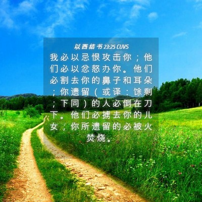 Picture 04 - 以 西 结 书 23:25 CUVS - 我 必 以 忌 恨 攻 击 你 ； 他 们 必 - Bible Verse Picture