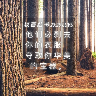 Picture 04 - 以 西 结 书 23:26 CUVS - 他 们 必 剥 去 你 的 衣 服 ， 夺 取 - Bible Verse Picture