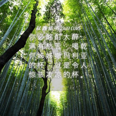 Picture 04 - 以 西 结 书 23:33 CUVS - 你 必 酩 酊 大 醉 ， 满 有 愁 苦 ， - Bible Verse Picture