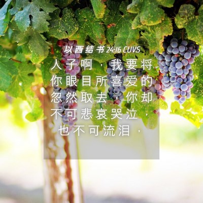 Picture 04 - 以 西 结 书 24:16 CUVS - 人 子 啊 ， 我 要 将 你 眼 目 所 喜 - Bible Verse Picture