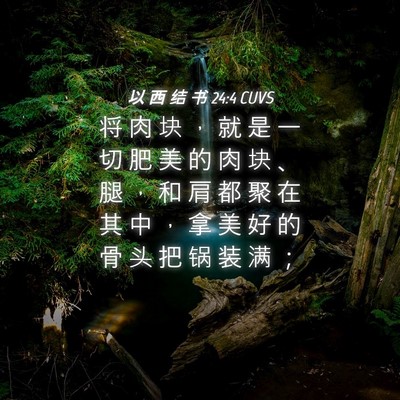 Picture 04 - 以 西 结 书 24:4 CUVS - 将 肉 块 ， 就 是 一 切 肥 美 的 肉 - Bible Verse Picture