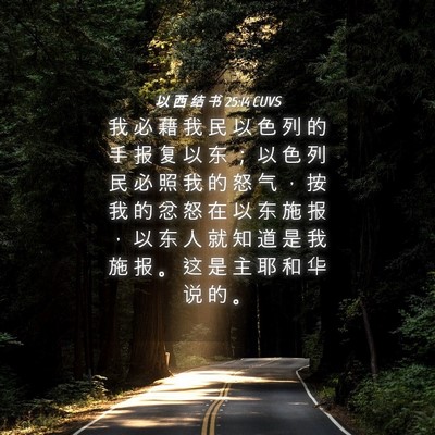 Picture 04 - 以 西 结 书 25:14 CUVS - 我 必 藉 我 民 以 色 列 的 手 报 复 - Bible Verse Picture