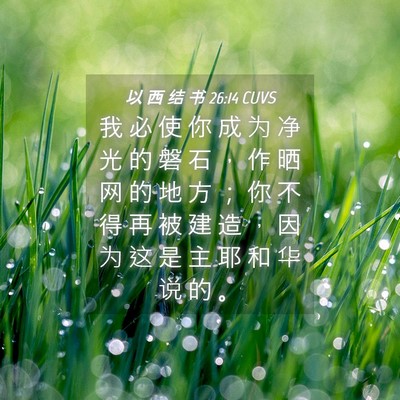 Picture 04 - 以 西 结 书 26:14 CUVS - 我 必 使 你 成 为 净 光 的 磐 石 ， - Bible Verse Picture