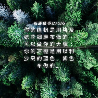 Picture 04 - 以 西 结 书 27:7 CUVS - 你 的 篷 帆 是 用 埃 及 绣 花 细 麻 - Bible Verse Picture