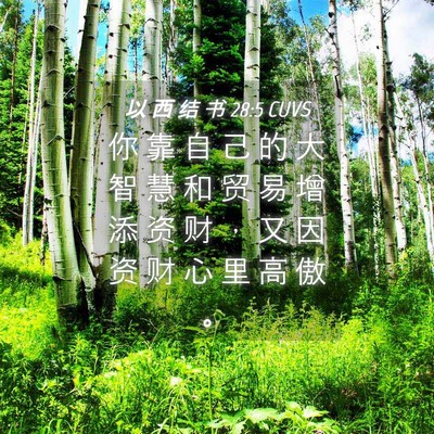 Picture 04 - 以 西 结 书 28:5 CUVS - 你 靠 自 己 的 大 智 慧 和 贸 易 增 - Bible Verse Picture