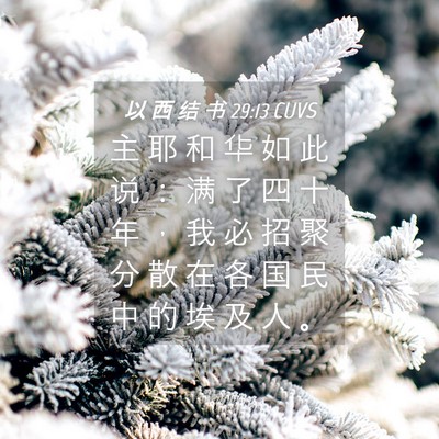 Picture 04 - 以 西 结 书 29:13 CUVS - 主 耶 和 华 如 此 说 ： 满 了 四 十 - Bible Verse Picture