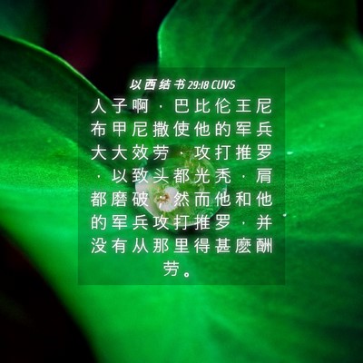 Picture 04 - 以 西 结 书 29:18 CUVS - 人 子 啊 ， 巴 比 伦 王 尼 布 甲 尼 - Bible Verse Picture