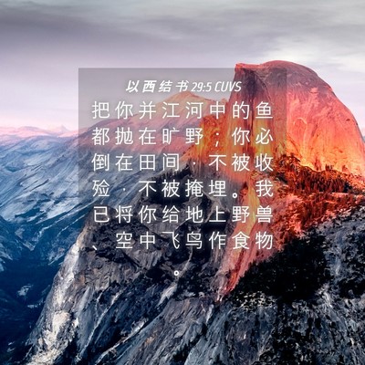 Picture 04 - 以 西 结 书 29:5 CUVS - 把 你 并 江 河 中 的 鱼 都 抛 在 旷 - Bible Verse Picture