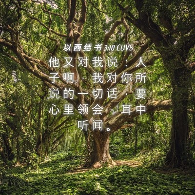 Picture 04 - 以 西 结 书 3:10 CUVS - 他 又 对 我 说 ： 人 子 啊 ， 我 对 - Bible Verse Picture