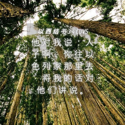 Picture 04 - 以 西 结 书 3:4 CUVS - 他 对 我 说 ： 人 子 啊 ， 你 往 以 - Bible Verse Picture