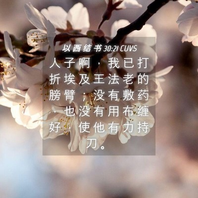 Picture 04 - 以 西 结 书 30:21 CUVS - 人 子 啊 ， 我 已 打 折 埃 及 王 法 - Bible Verse Picture