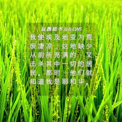 Picture 04 - 以 西 结 书 32:15 CUVS - 我 使 埃 及 地 变 为 荒 废 凄 凉 ； - Bible Verse Picture