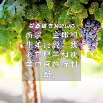 Picture 04 - 以 西 结 书 34:20 CUVS - 所 以 ， 主 耶 和 华 如 此 说 ： 我 - Bible Verse Picture
