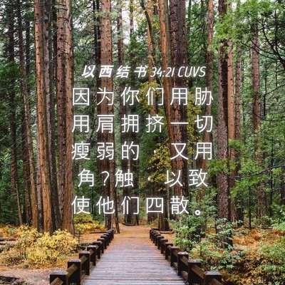 Picture 04 - 以 西 结 书 34:21 CUVS - 因 为 你 们 用 胁 用 肩 拥 挤 一 切 - Bible Verse Picture