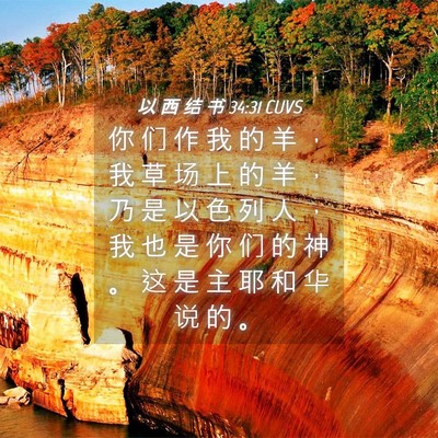 Picture 04 - 以 西 结 书 34:31 CUVS - 你 们 作 我 的 羊 ， 我 草 场 上 的 - Bible Verse Picture