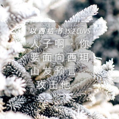 Picture 04 - 以 西 结 书 35:2 CUVS - 人 子 啊 ， 你 要 面 向 西 珥 山 发 - Bible Verse Picture