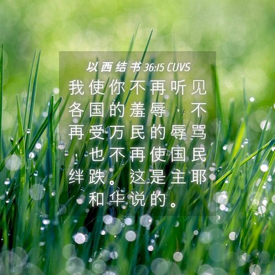 Picture 04 - 以 西 结 书 36:15 CUVS - 我 使 你 不 再 听 见 各 国 的 羞 辱 - Bible Verse Picture
