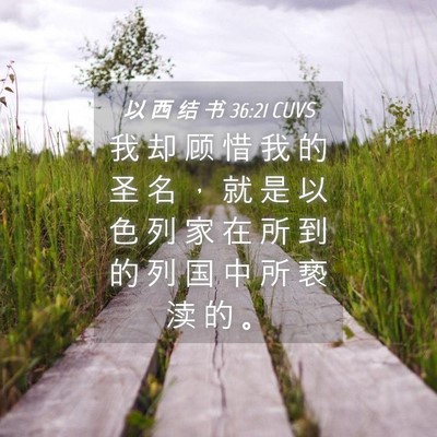 Picture 04 - 以 西 结 书 36:21 CUVS - 我 却 顾 惜 我 的 圣 名 ， 就 是 以 - Bible Verse Picture