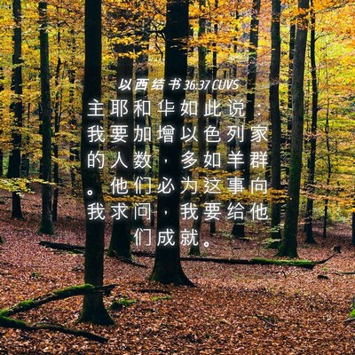 Picture 04 - 以 西 结 书 36:37 CUVS - 主 耶 和 华 如 此 说 ： 我 要 加 增 - Bible Verse Picture