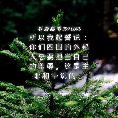 Picture 04 - 以 西 结 书 36:7 CUVS - 所 以 我 起 誓 说 ： 你 们 四 围 的 - Bible Verse Picture