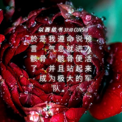 Picture 04 - 以 西 结 书 37:10 CUVS - 於 是 我 遵 命 说 预 言 ， 气 息 就 - Bible Verse Picture