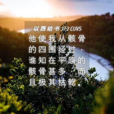 Picture 04 - 以 西 结 书 37:2 CUVS - 他 使 我 从 骸 骨 的 四 围 经 过 ， - Bible Verse Picture