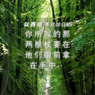 Picture 04 - 以 西 结 书 37:20 CUVS - 你 所 写 的 那 两 根 杖 要 在 他 们 - Bible Verse Picture