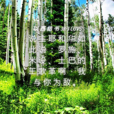Picture 04 - 以 西 结 书 38:3 CUVS - 说 主 耶 和 华 如 此 说 ： 罗 施 、 - Bible Verse Picture
