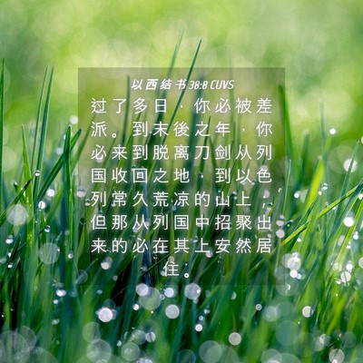 Picture 04 - 以 西 结 书 38:8 CUVS - 过 了 多 日 ， 你 必 被 差 派 。 到 - Bible Verse Picture