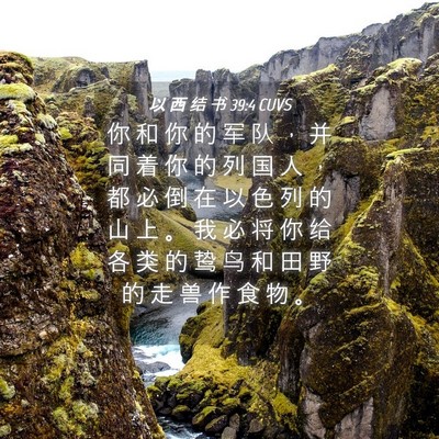 Picture 04 - 以 西 结 书 39:4 CUVS - 你 和 你 的 军 队 ， 并 同 着 你 的 - Bible Verse Picture