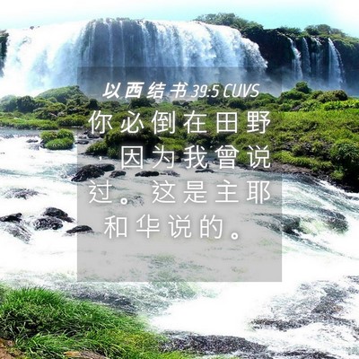 Picture 04 - 以 西 结 书 39:5 CUVS - 你 必 倒 在 田 野 ， 因 为 我 曾 说 - Bible Verse Picture