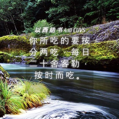 Picture 04 - 以 西 结 书 4:10 CUVS - 你 所 吃 的 要 按 分 两 吃 ， 每 日 - Bible Verse Picture