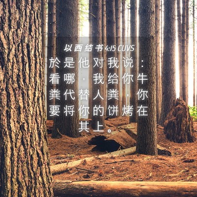 Picture 04 - 以 西 结 书 4:15 CUVS - 於 是 他 对 我 说 ： 看 哪 ， 我 给 - Bible Verse Picture