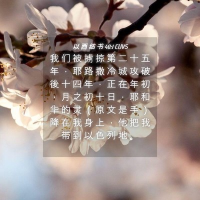 Picture 04 - 以 西 结 书 40:1 CUVS - 我 们 被 掳 掠 第 二 十 五 年 ， 耶 - Bible Verse Picture